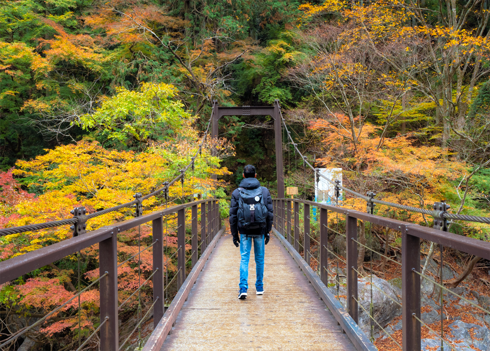 [TRAVEL] How to Get to the Ome Region — Spectacular Autumn Views Just ...